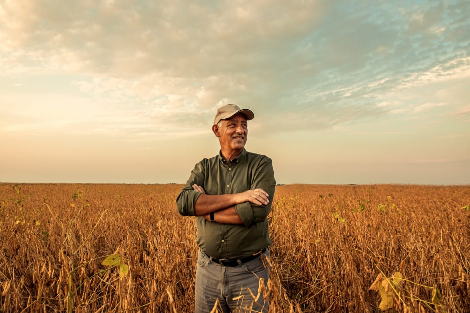 Revisão Inclusão Tempo Rural